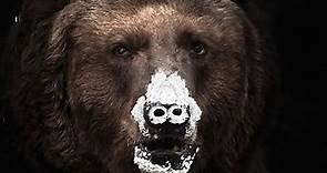The ACTUAL True Story Behind Cocaine Bear Is MUCH DIFFERENT