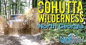 Exploring the Cohutta Wilderness - North Georgia Mountains - Georgia Traverse