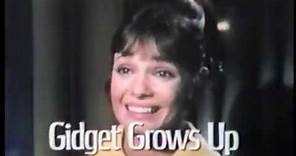 "Gidget Grows Up" Promo, 1969