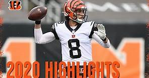 Brandon Allen Full 2020 Season Highlights | Cincinnati Bengals