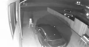 CCTV Captures Dobby On Driveway