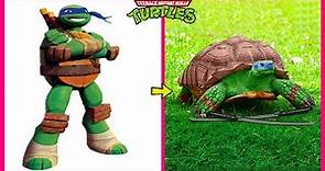 🐢 Teenage Mutant Ninja Turtles 🔥 Real Life