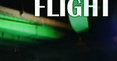 Night Flight (2014) Online - Película Completa en Español / Castellano - FULLTV