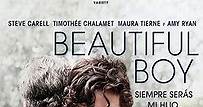 Ver Beautiful Boy: Siempre serás mi hijo (2018) Online | Cuevana 3 Peliculas Online