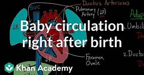 Baby circulation right after birth | Circulatory system physiology | NCLEX-RN | Khan Academy