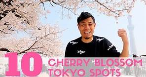 Top 10 Cherry Blossom Tokyo Spots | Sakura watching and Hanami Guide