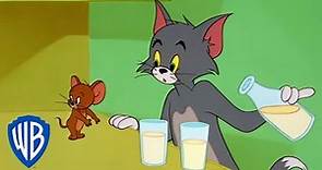 Tom y Jerry en Latino | Tom y Jerry en pantalla grande | WB Kids