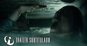 LA ÚLTIMA OLA (The Wave) | Trailer subtitulado HD