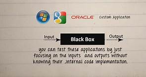 What is BLACK Box Testing? Techniques, Types & Example