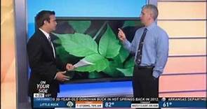 Dr. David Gerson Talks Poison Ivy