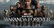 Ver Black Panther: Wakanda Forever (2022) Online | Cuevana 3 Peliculas Online