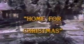 Father Knows Best: Home For Christmas (1977)