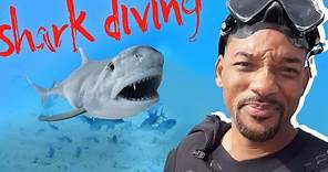 Will smith - Swimming with Sharks | bucket list EP4