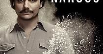 Narcos - Ver la serie online completa en español