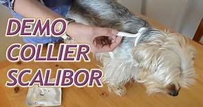 Présentation du collier Scalibor pour chiens