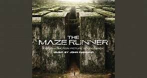 The Maze Runner