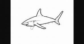 Dibujar tiburones - Dibujos para Pintar