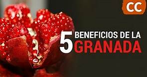 5 Beneficios de la Granada | Ciencia de la Comida