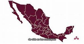 El artículo 115 de la Constitución Mexicana