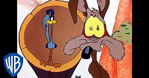 Looney Tunes | Ready, Set, Catch the Roadrunner! | Classic Cartoon | WB Kids
