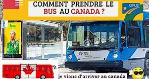 COMMENT PRENDRE LE TRANSPORT EN COMMUN À MONTRÉAL AU CANADA (LE BUS) ? ALLONS ESSAYER...