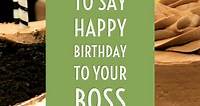 Best Birthday Wishes for a Boss and Mentor