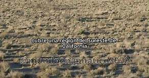 El Desierto de Mojave . . . #desiertodemojave #eldesiertodemojave #Mojave #mojavedesert #desierto #joshuatree #joshuatreenationalpark #ElValleDeLaMuerte #AmericadelNorte #reels #reelsfb | Mundo Enigmático