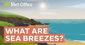 How Does a Sea Breeze Work?