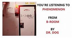 Dr. Dog - "Phenomenon" (Full Album Stream)