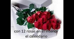 12 Rosas Miguel Martinez
