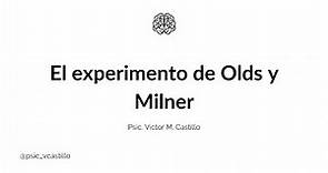 El experimento de Olds y Milner