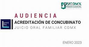 AUDIENCIA JUICIO ORAL FAMILIAR | ACREDITACIÓN DE CONCUBINATO CDMX 2023