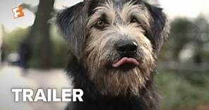 Lady and the Tramp Trailer #2 (2019) | Movieclips Trailers