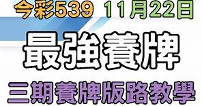 【今彩539】11月22日｜最強養牌｜少年狼539｜三期養牌版路教學