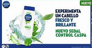 Prueba el nuevo Shampoo Sedal® recarga natural Control Caspa. 🍃💁‍♀‍