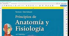 Descargar Libro|Principios de Anatomía y Fisiología|Tortora