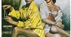 Mujeres de lujo (1960) Online - Película Completa en Español - FULLTV