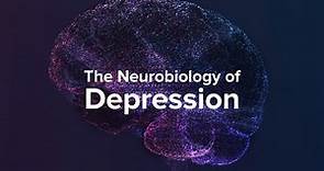 How Depression Affects The Brain - Yale Medicine Explains