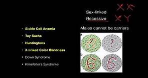 Human Genetic Diseases to Know