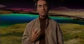 Calendário cósmico - Carl Sagan - Astronomia Infinita