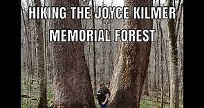 Hiking The Joyce Kilmer Memorial Forest in Robinnsville, North Carolina