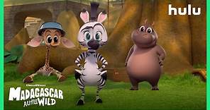 Madagascar: A Little Wild -Season 2 Trailer (Official) • A Hulu Original