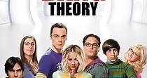 The Big Bang Theory Stagione 9 - streaming online