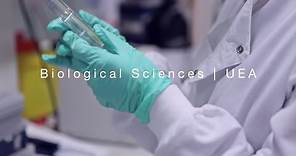 Biological Sciences | University of East Anglia (UEA)