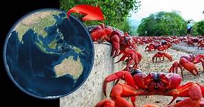 Crabs 🦀 on Google Earth and Google Maps 🌎