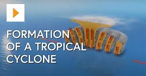 Formation Of A Tropical Cyclone