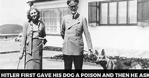 Facts About Hitler's Relationship With His Wife Eva Braun