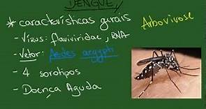 Dengue - Resumo - Infectologia