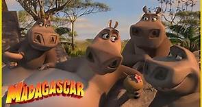 DreamWorks Madagascar | Lo mejor de Gloria y Melman | Madagascar Escape 2 África