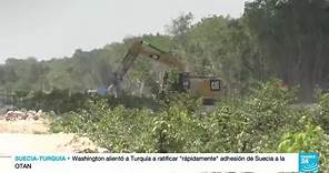 Comunidades y ambientalistas piden detener obras de construcción de tren Maya por impacto ambiental